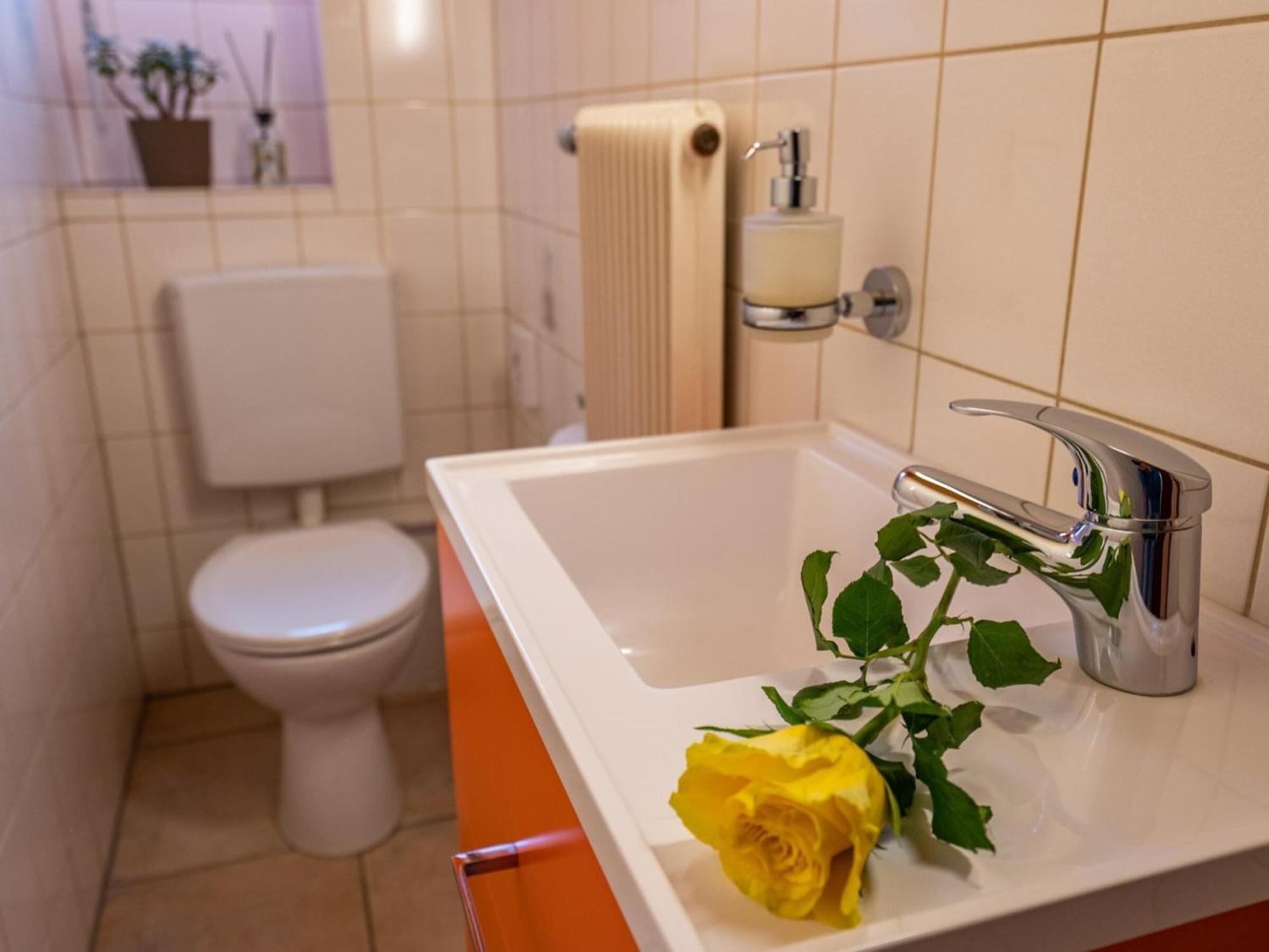 Ferienwohnung Dietsche טודנאו מראה חיצוני תמונה